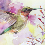 Wendy Ahlm - Zippy Hummingbirds