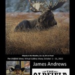 James Andrews - The Oldfield Show