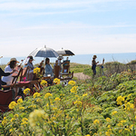 Monterey Bay Plein Air Painters Association - Member Instructor Workshop - SAMPLE ONLY - Feature�Coming!