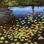 Stacy Mayou - Water Reflections in Pastel
