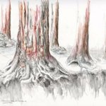 Patricia Larenas - Draw Trees in the Park: Redwoods