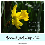 Sheila Huyett - March Workshop- Daffodils