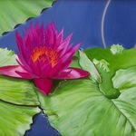 Jackie Kane - OIL PAINTING CLASS:  Studies and Atelier Painting / All Levels