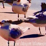 Anne Abgott - Beach Bird - IN PERSON
