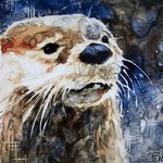 Sarah B Hansen - Painting Fast & Loose in Watercolor: Wild Animals