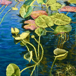 Susan Johnson - Marked
