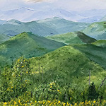 Art League Highlands-Cashiers - July Meeting And Social