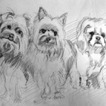 Kenneth Weinfurtner - Intro to Drawing: Drawing Animals