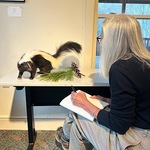 Kenneth Weinfurtner - Wildlife Drawing with Taxidermy taught by Cheryl Meehan