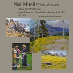Ned Mueller - The Art of Seeing