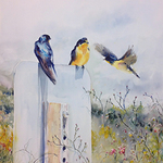 Colleen Reynolds - Exhibition of Nevada Watercolors