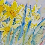 Colleen Reynolds - Watercolor Investigations