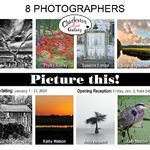 Julie Byrd Diana - 2024 Charleston Artist Guild Gallery Featured Photography Group Exhibition:  Picture This