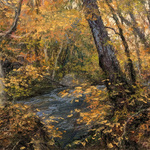 Mark Ivan Cole - - Fall Color - One-Day Online Workshop