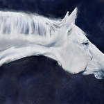 Caitlin Leline Hatch - Watercolor Horse Workshop