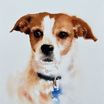 Caitlin Leline Hatch - Dog Portrait