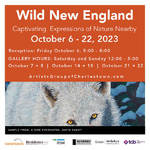 LaurieAGC SigmundAGC - Wild New England: Captivating Expressions of Nature Nearby