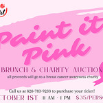 Amy Reshefsky - Paint it Pink Charity Auction