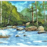 Linda Young - Start up Watercolor at CALC  (Session A and Session B)