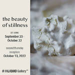 Constance McBride - The Beauty of Stillness