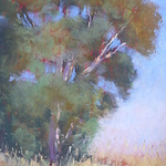 Jan Prisco - Painting Skyscapes, Seascapes, and Landscapes in Pastel