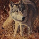 Carol Lundeen - Western Spirit Juried Art Show & Sale