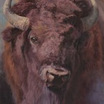 Carol Lundeen - The Buffalo:  Master of the Plains