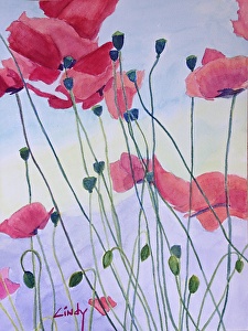 Poppies in Focus-2 by Cindy Mclean Watercolor ~ 34cm x 25cm x 13.5inches x  9.5 inches