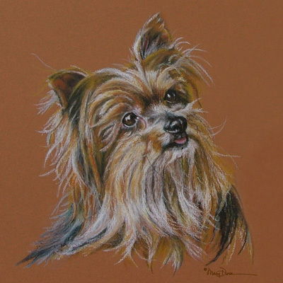 3_Mary Dove_Silky Terrier_Oil Pastel Painting_4x4_Logo