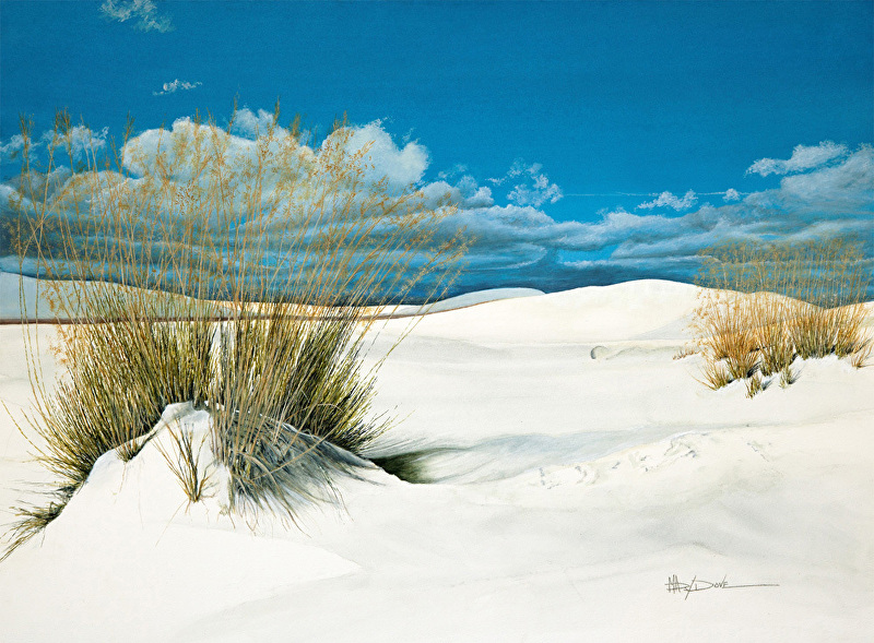 Mary Dove_New Mexico Shifting White Sands Grass