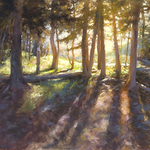 Susan Blackwood - Chasing the Light Workshop - In person