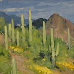 Bill Cramer - Desert Colors - Tubac, AZ