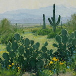 Bill Cramer - Desert Colors