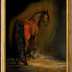 Anthony Pontrello - 68th Annual Scottsdale Arabian Horse Show