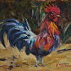 Morning Rooster - Fine Art Print Available
