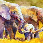 Kim Stenberg - Painting Animals in Watercolor