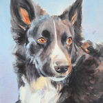 Kim Stenberg - Pet Portraits in Watercolor