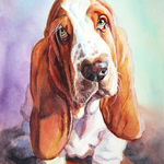 Kim Stenberg - Pet Portraits in Watercolor