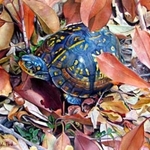 Adele Park - Florida Watercolor Society 52nd Annual Exhibition