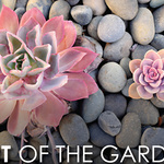 Elizabeth B. Tucker - Art of the Garden