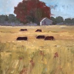 Donna Bland - Capturing Beautiful Landscapes