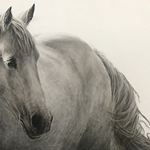 Julie Nighswonger - Hold Your Horses! Exhibition and Sale