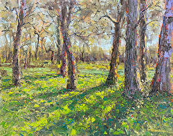 Brenda Boylan - Northwest Plein Air Group Show