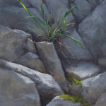 Linda Brown - The Diverse Environments of the Arroyo Seco