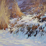 Barbara Jaenicke - International Association of Pastel Societies Juried Gallery Exhibition, Master Circle Division