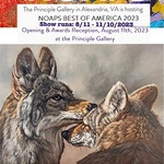 Joye DeGoede - NOAPS Best of America 2023 Principle Gallery