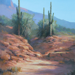 David Flitner - Connecting with Arizona Landscapes
