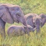 Tracey Maras - Illinois Prairie Pastel Society Show