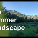Scott Ruthven - Painting the summer landscape - FREE