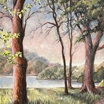 Harry Neely - Tips for Painting Landscapes